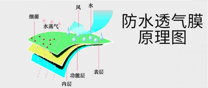 防水透氣膜原理圖(圖片來源:在途環(huán)保) 防水透氣膜原理圖(圖片來源:在途環(huán)保)